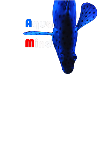 Logo Akwaria morskie, słodkie i oczka wodne